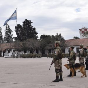 Ceremonia de ascenso de Dragoneantes